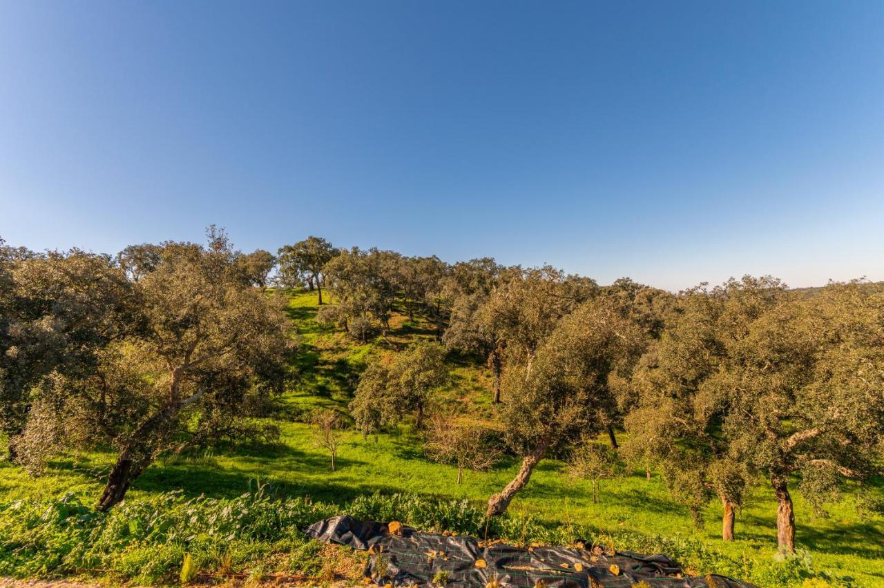Sierra Melides Villa,Alentejo, Br2 With Private Pool, Br3 With Private Pool - Near Beach São Francisco da Serra 외부 사진