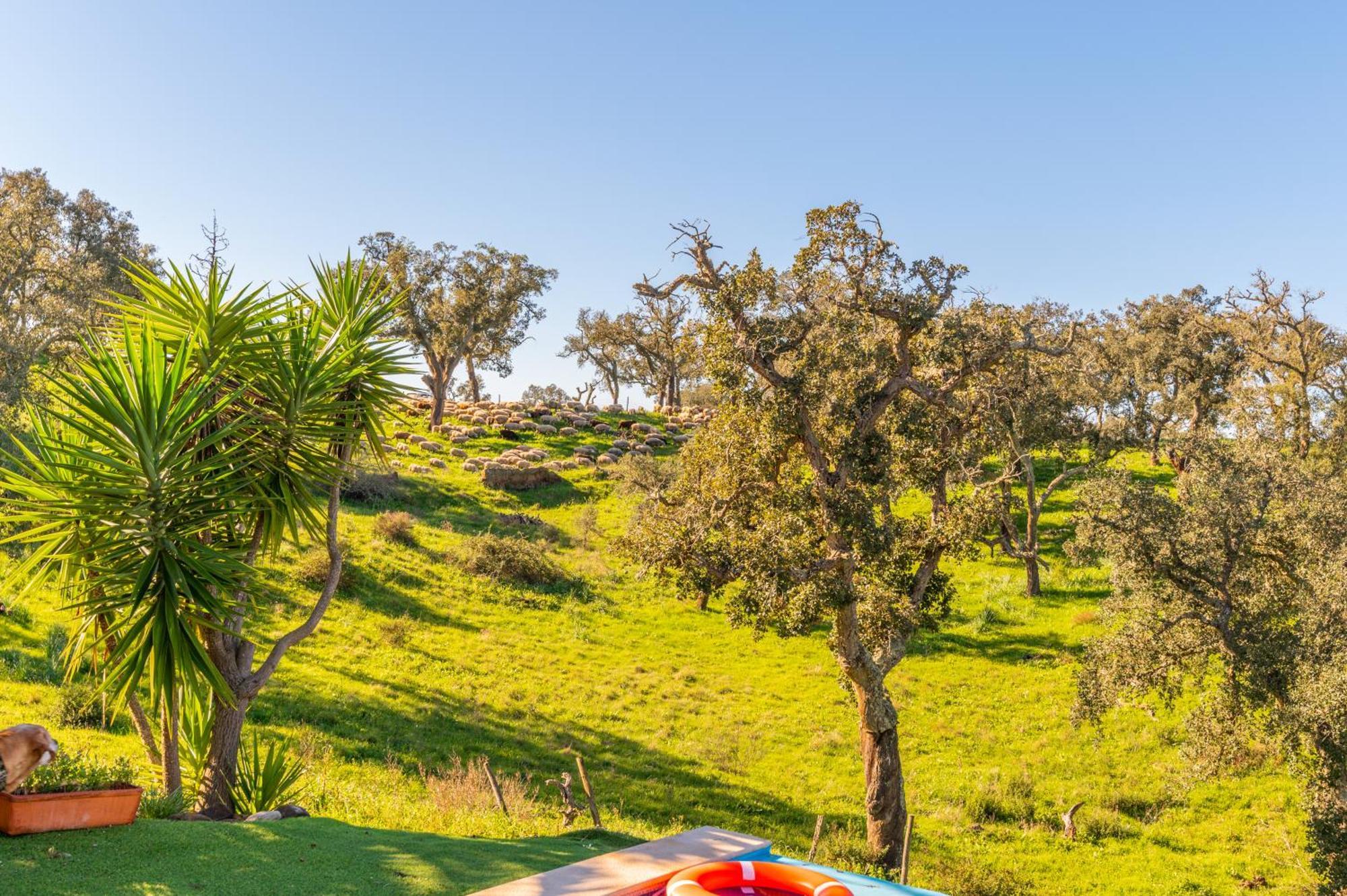 Sierra Melides Villa,Alentejo, Br2 With Private Pool, Br3 With Private Pool - Near Beach São Francisco da Serra 객실 사진